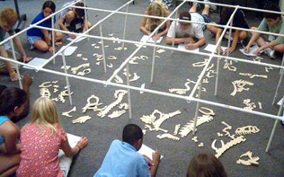 Campers on the floor mapping observations of a model fossil dig
