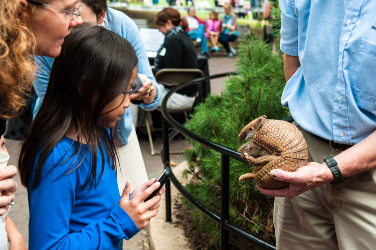 Checking out an armadillo at the Breakfast at the Zoo VIP experience